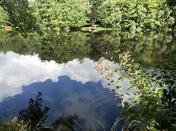 Picture of a lake